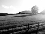 Setting Setting